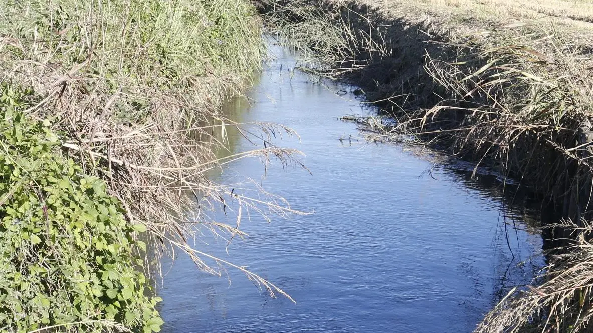 Un “governo del Po” per far dialogare il settore agricolo con l’ambiente