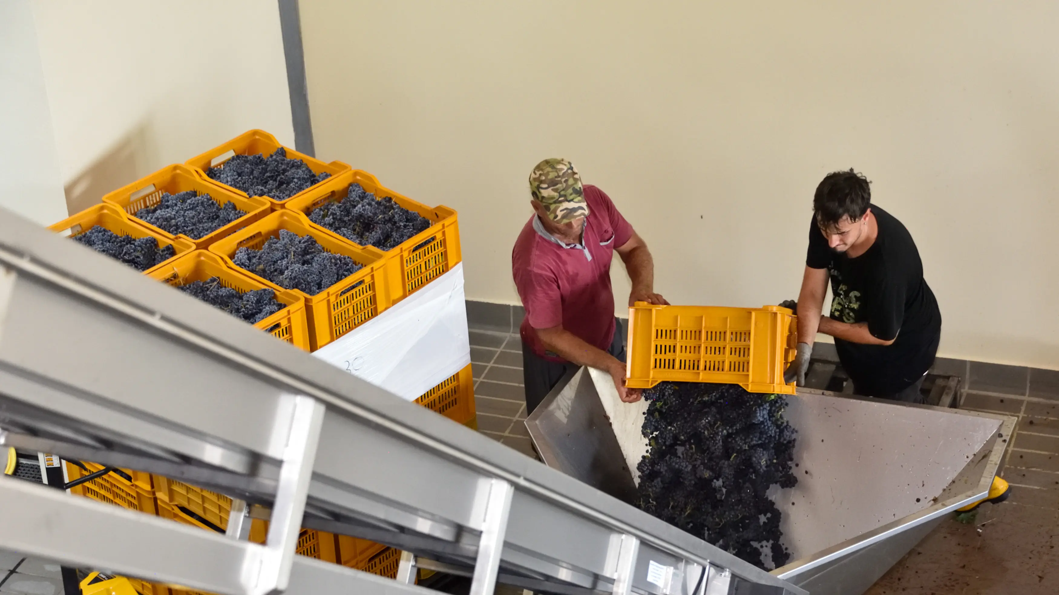 Berlucchi si espande in Oltrepo e acquista la cantina Villa Maggi