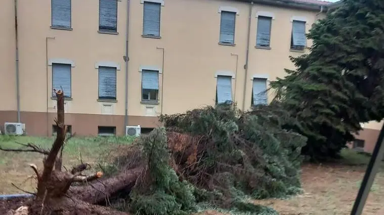 Alberi caduti in ospedale, i danni provocati hanno costretto i medici a spostare i pazienti ricoverati in Rianimazione