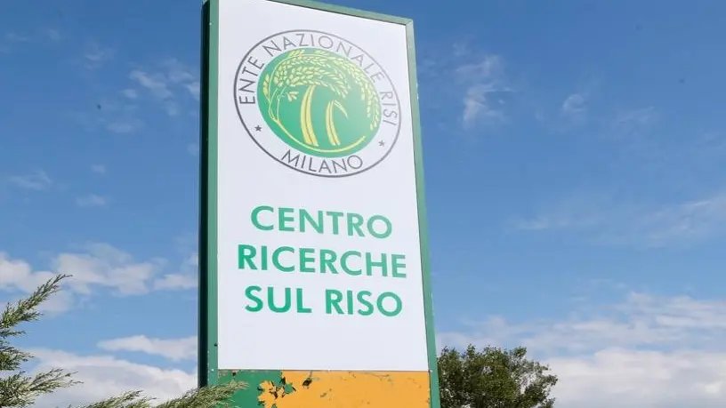 G7 agricolo, le iniziative dell’Ente Risi a Ortigia: dai convegni alle mostre