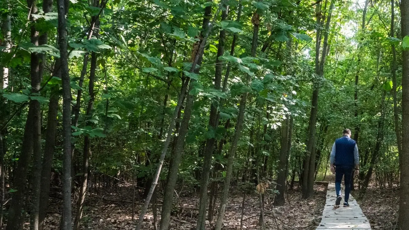 Agricoltura in breve: dai piani per la crisi climatica ai fondi per le associazioni fondiarie forestali