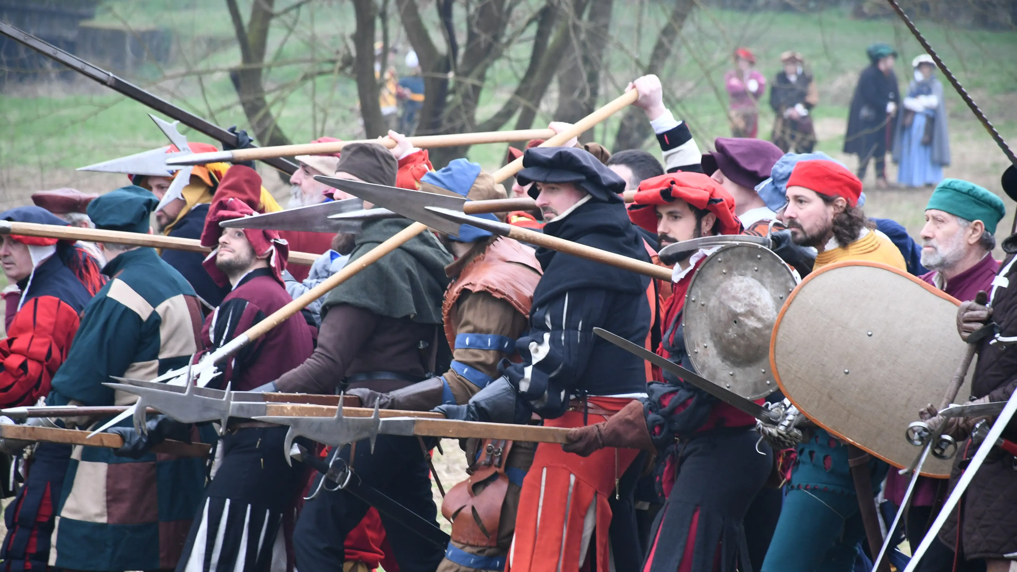 battaglia di pavia- lo schieramento delle truppe sul campo della vernavola e il pubblico