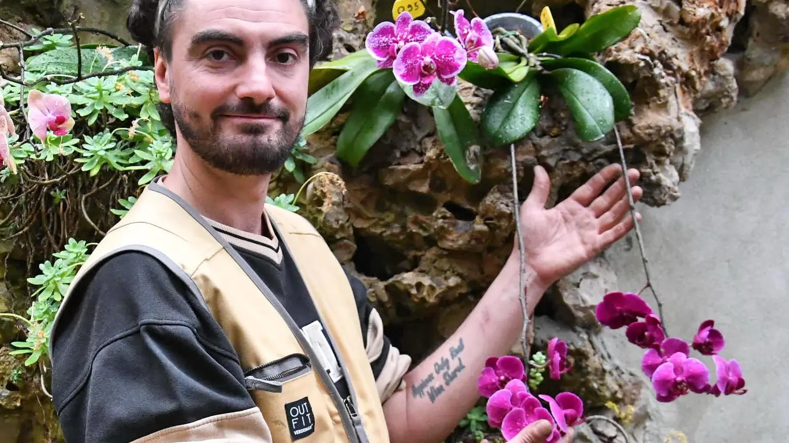 Orchidee, che passione. Ecco come averne cura