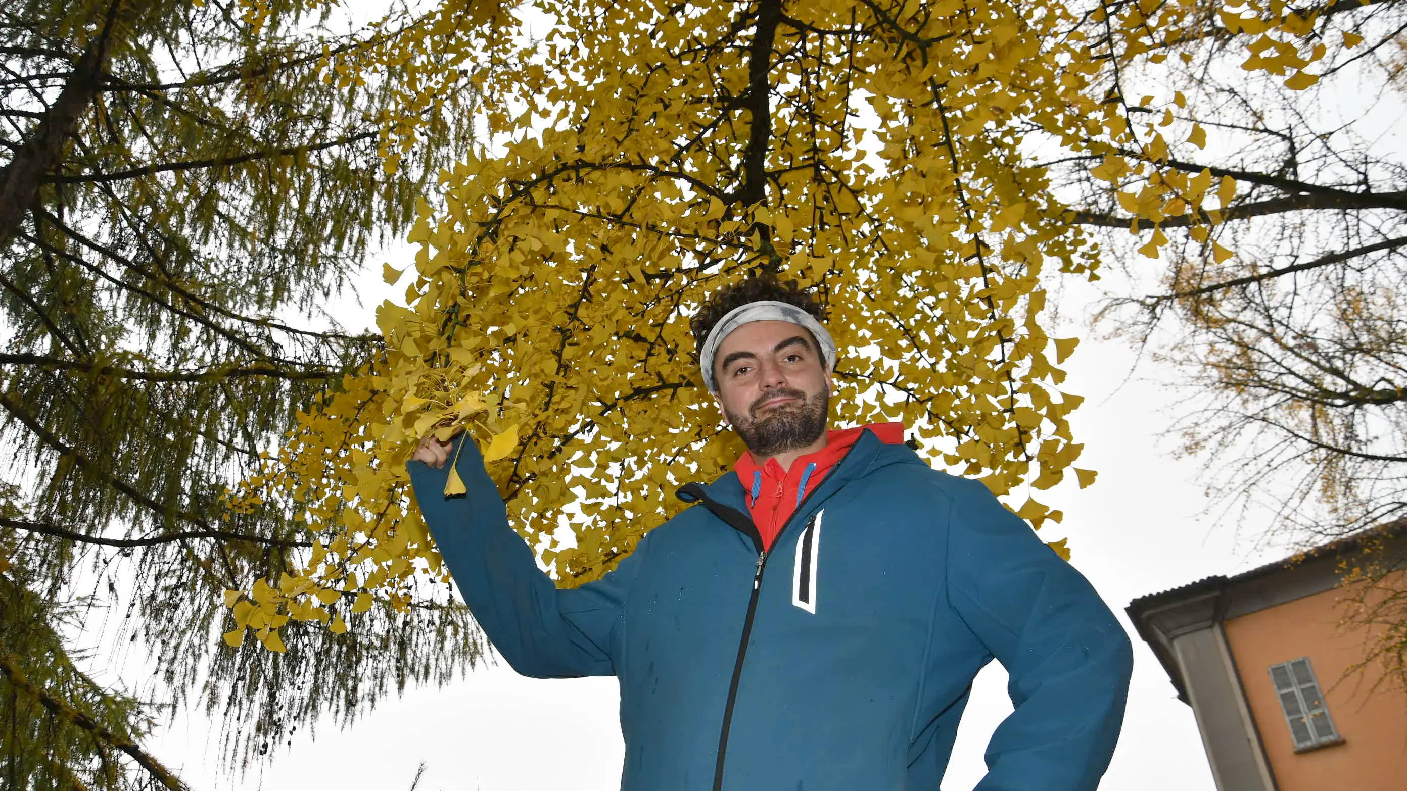 Il “vecchio” Ginkgo riempie di giallo parchi e giardini