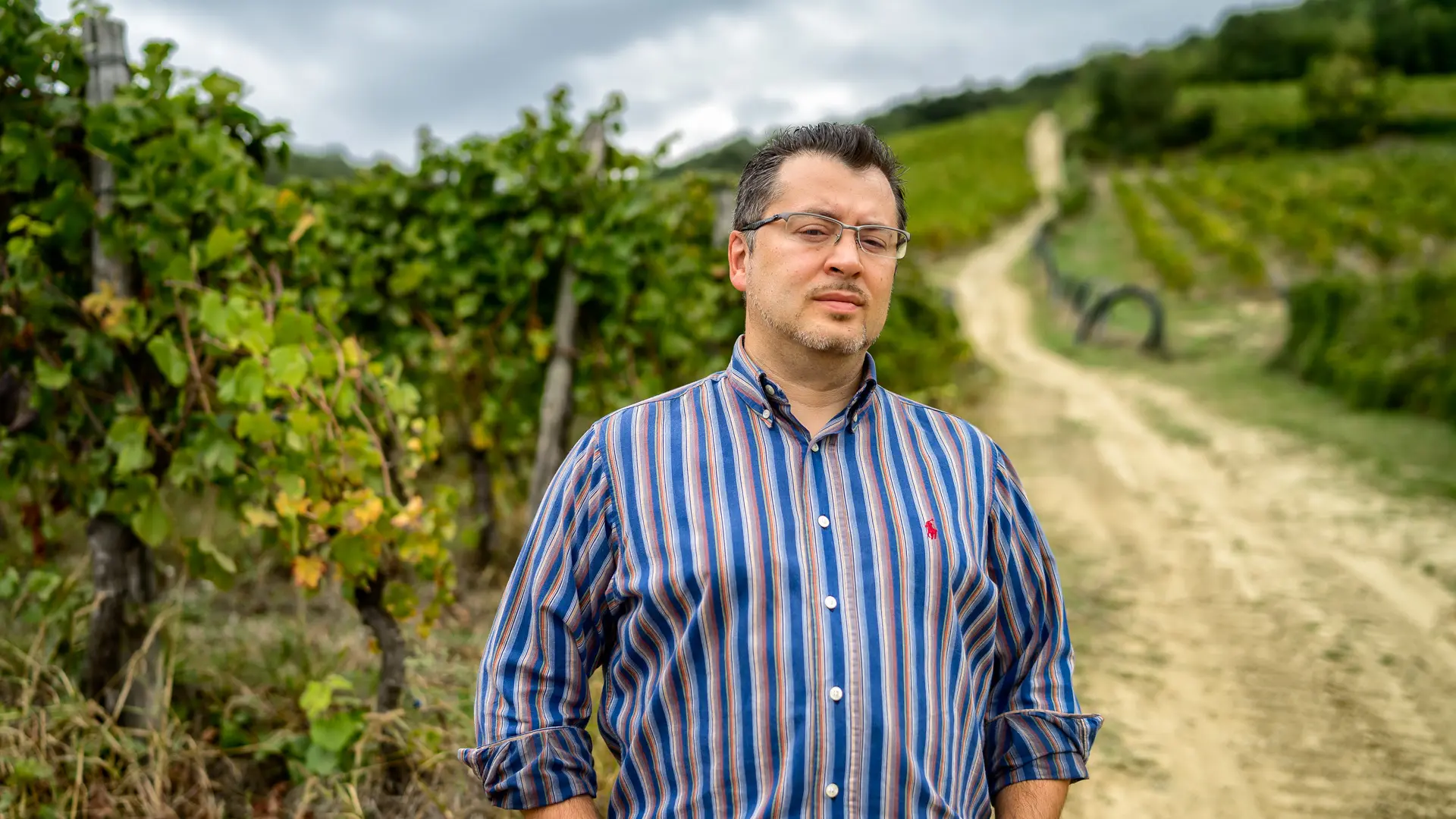 Mobilitati contro le truffe, l'appello dei giovani produttori di vino in Oltrepo