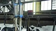 Risorse destinate agli allevamenti: definito dall’Agea il piano importi