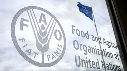 Dar da mangiare al mondo. Al nostro evento la Fao racconta la grande sfida
