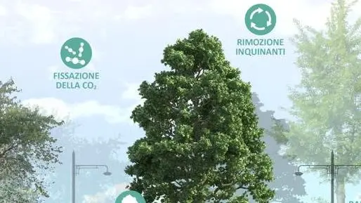 Waterfront, la sfida di Pavia per valorizzare il Ticino