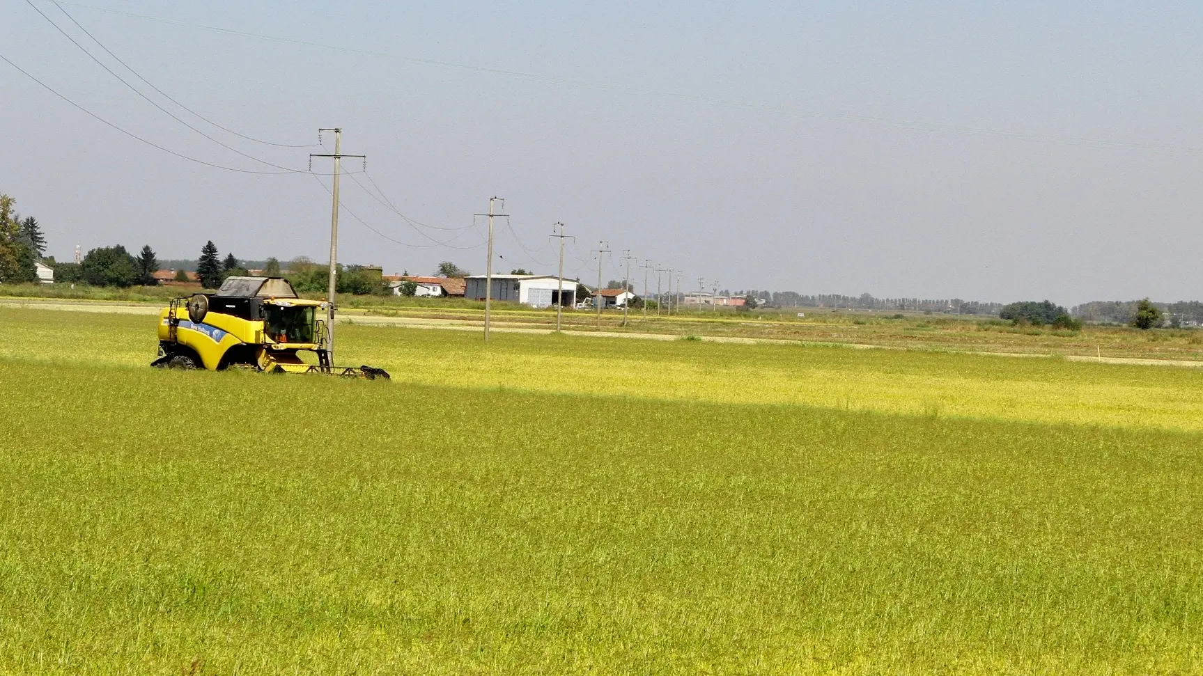 Innovare per crescere: le sfide dell’agricoltura per nutrire il mondo e migliorare l’ambiente. Ne parliamo giovedì 13 a Pavia